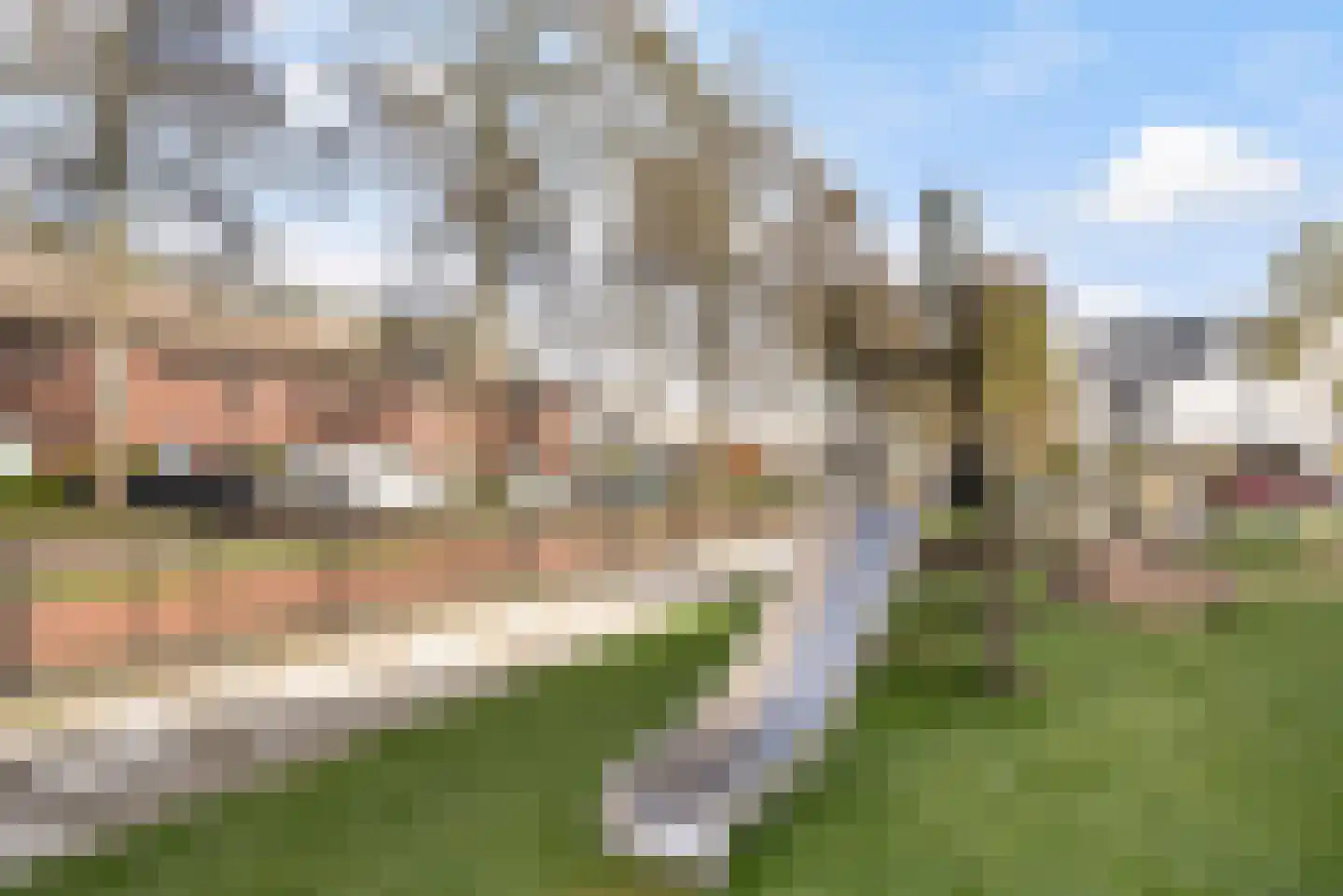 Houtsingel 117 Zoetermeer thumbnail 46