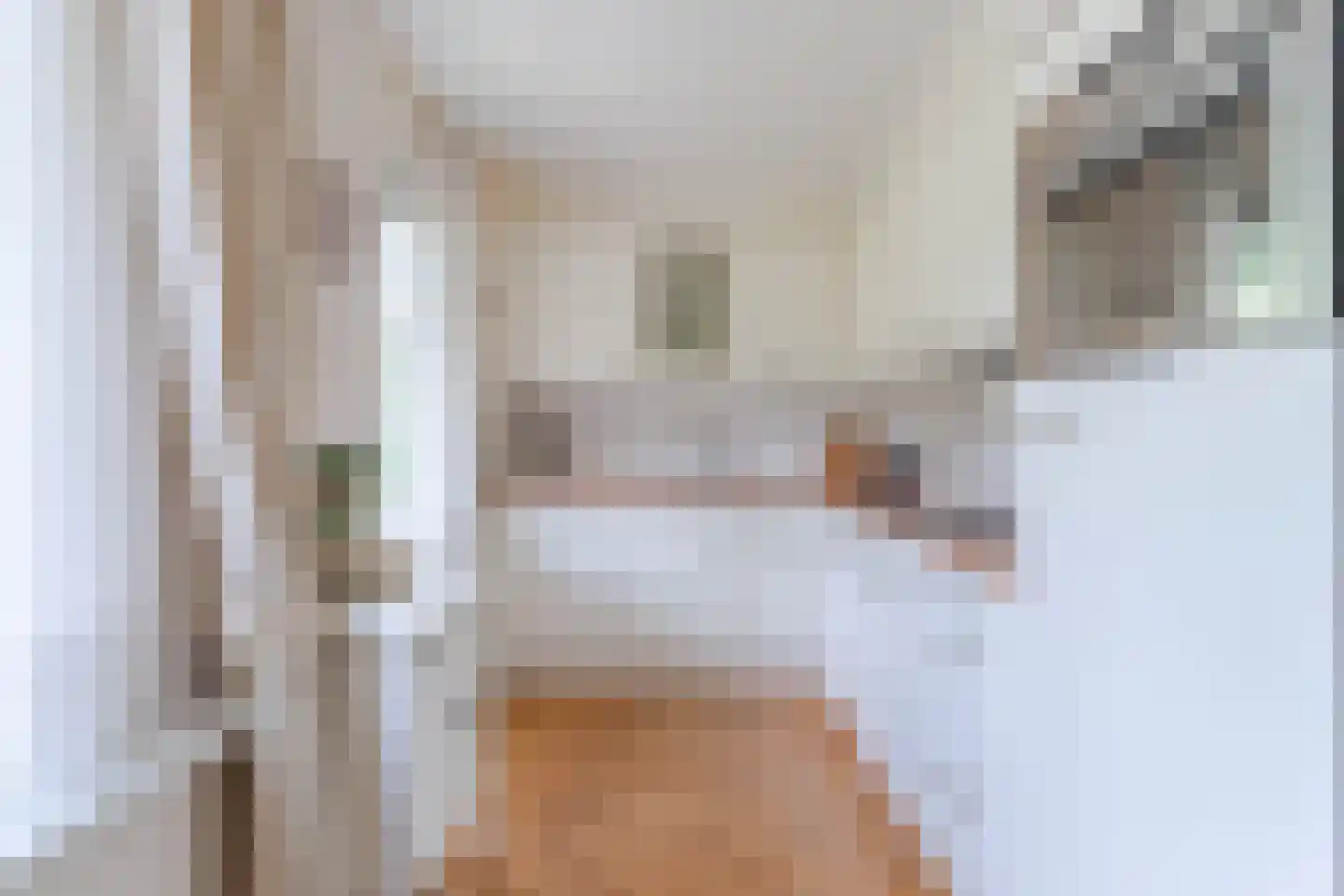Houtsingel 30 Boskoop thumbnail 16