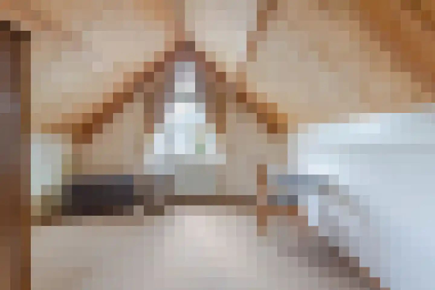 Houtsingel 30 Boskoop thumbnail 29