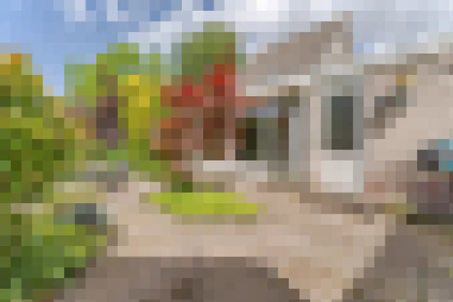 Houtsingel 30 Boskoop thumbnail 32