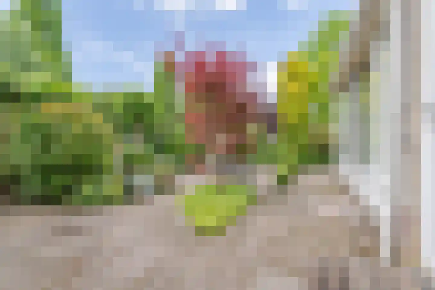 Houtsingel 30 Boskoop thumbnail 33