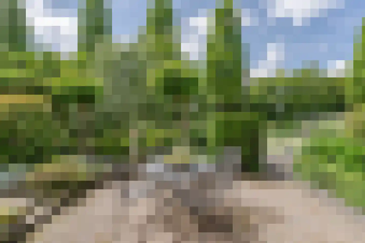 Houtsingel 30 Boskoop thumbnail 34