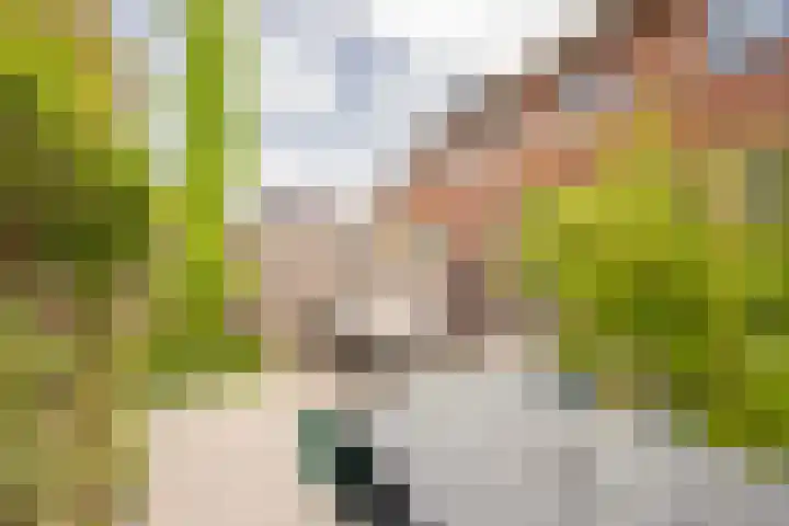 Houtsingel 5 Nijkerk thumbnail 11