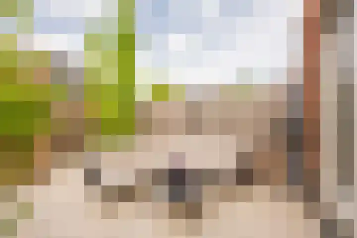Houtsingel 5 Nijkerk thumbnail 12