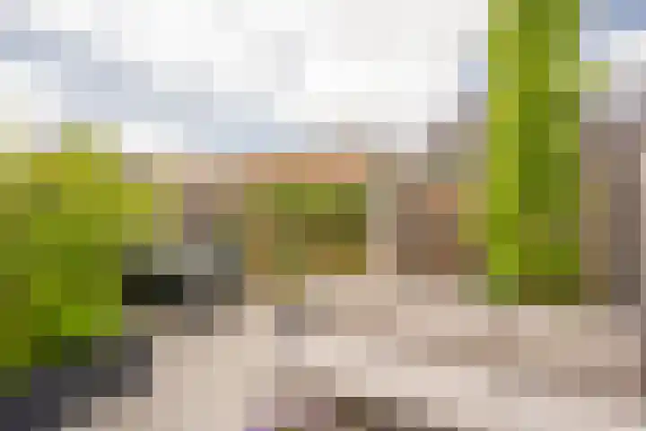 Houtsingel 5 Nijkerk thumbnail 13