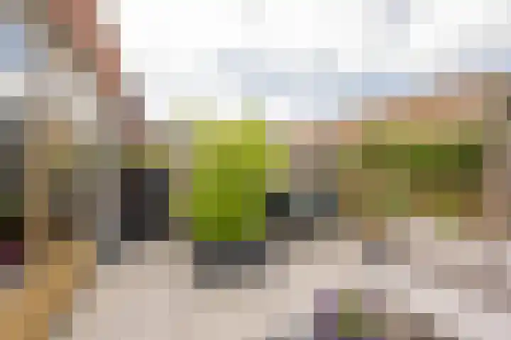 Houtsingel 5 Nijkerk thumbnail 14