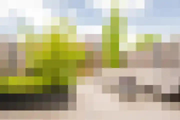 Houtsingel 5 Nijkerk thumbnail 19