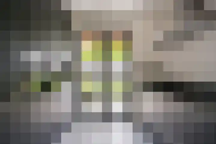 Houtsingel 5 Nijkerk thumbnail 22