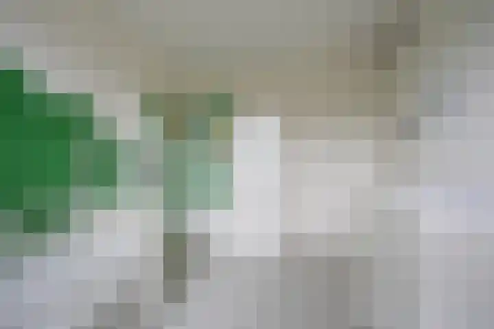 Houtsingel 5 Nijkerk thumbnail 31