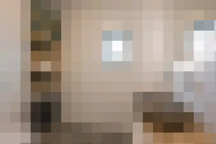 Houtsingel 5 Nijkerk thumbnail 35