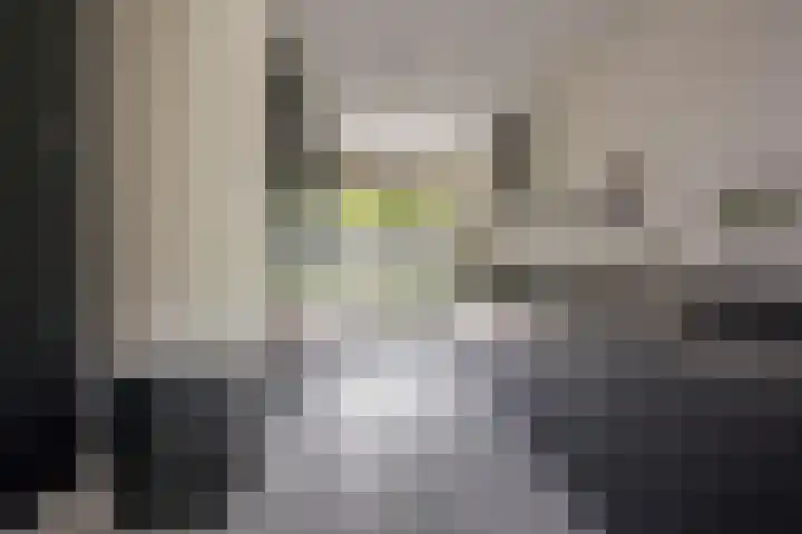 Houtsingel 5 Nijkerk thumbnail 4