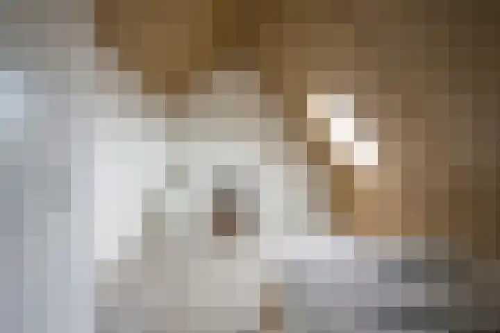Houtsingel 5 Nijkerk thumbnail 40