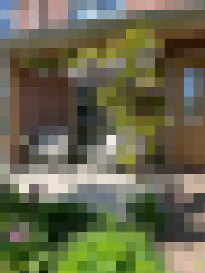 Houtsingel 5 Nijkerk thumbnail 54