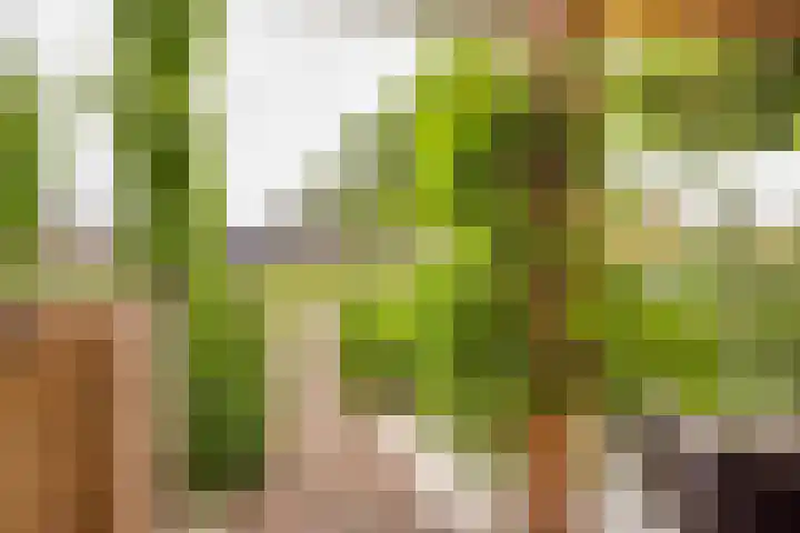 Houtsingel 5 Nijkerk thumbnail 6