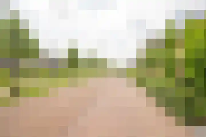 Houtsingel 5 Nijkerk thumbnail 7