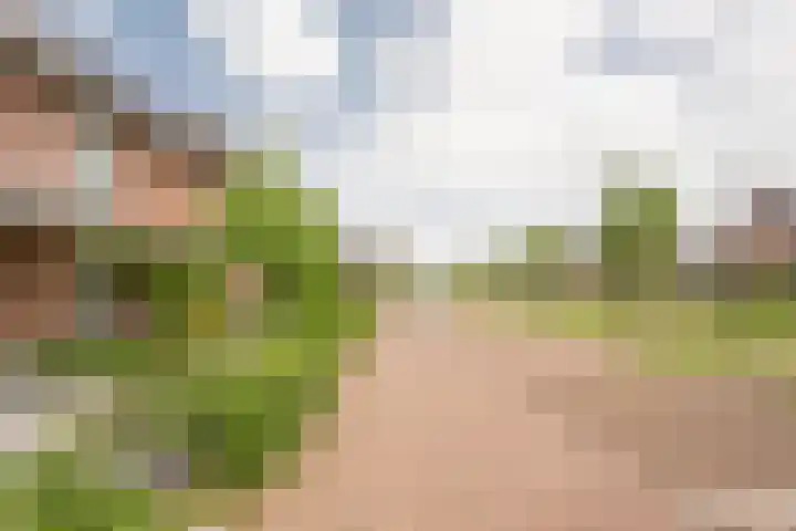 Houtsingel 5 Nijkerk thumbnail 8