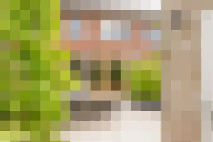 Houtsingel 5 Nijkerk thumbnail 9