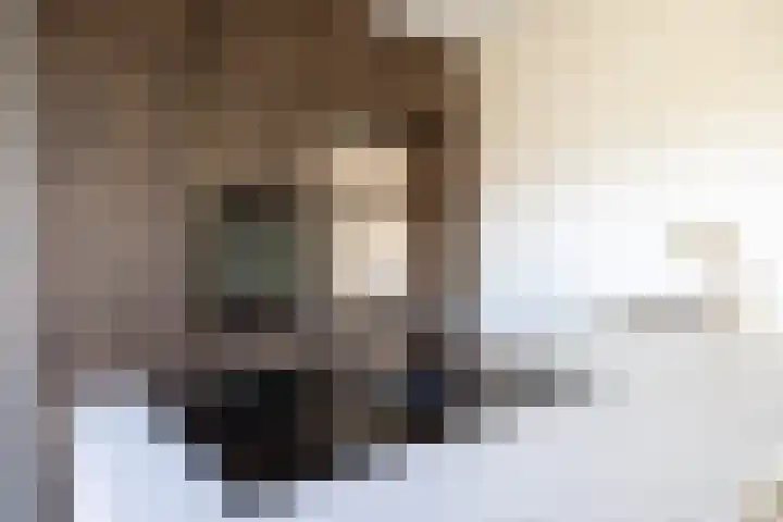 Houtskool 16 Wehl thumbnail 11