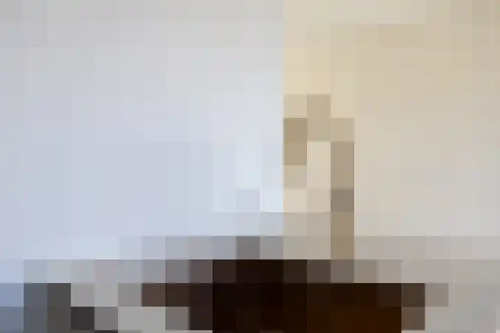 Houtskool 16 Wehl thumbnail 14