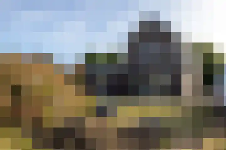 Houtskool 16 Wehl thumbnail 17