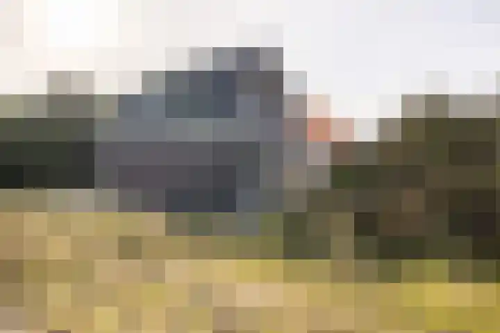 Houtskool 16 Wehl thumbnail 18
