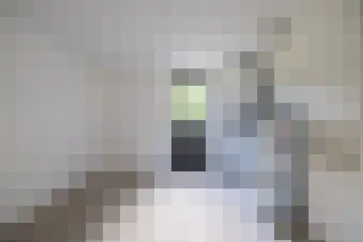 Houtskool 16 Wehl thumbnail 22