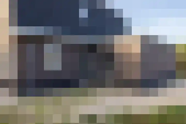 Houtskool 16 Wehl thumbnail 24