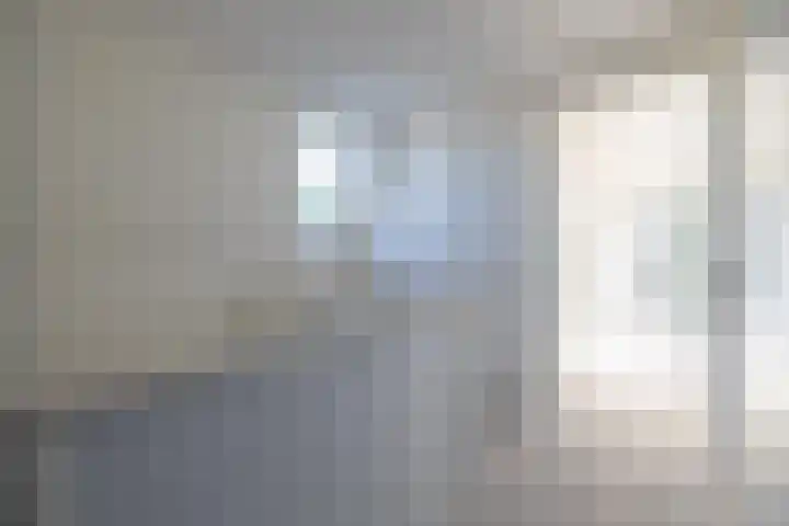 Houtskool 16 Wehl thumbnail 28