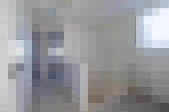 Houtskool 16 Wehl thumbnail 35