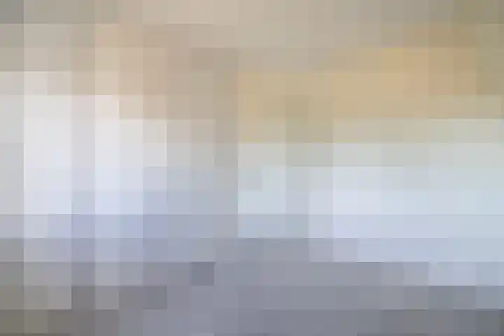 Houtskool 16 Wehl thumbnail 38