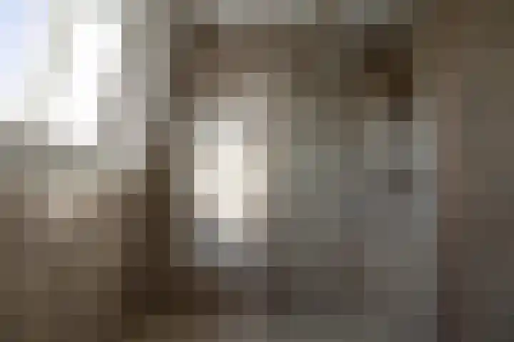 Houtskool 16 Wehl thumbnail 46