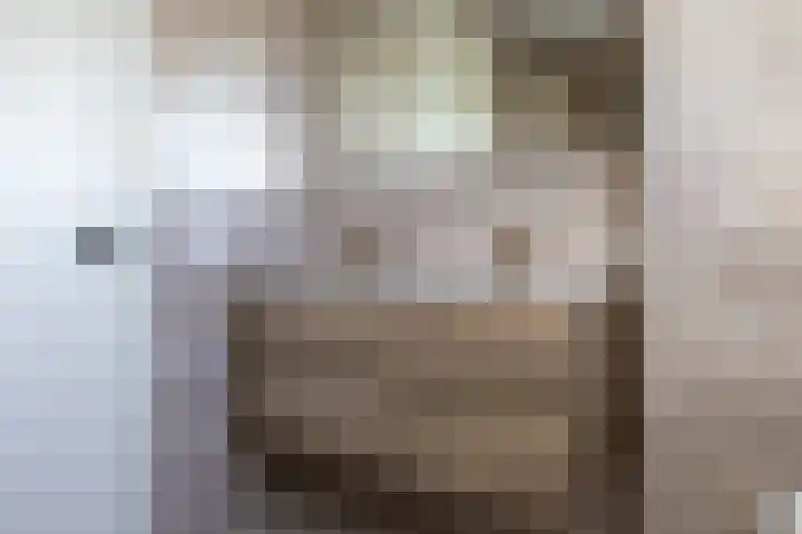 Houtskool 16 Wehl thumbnail 47