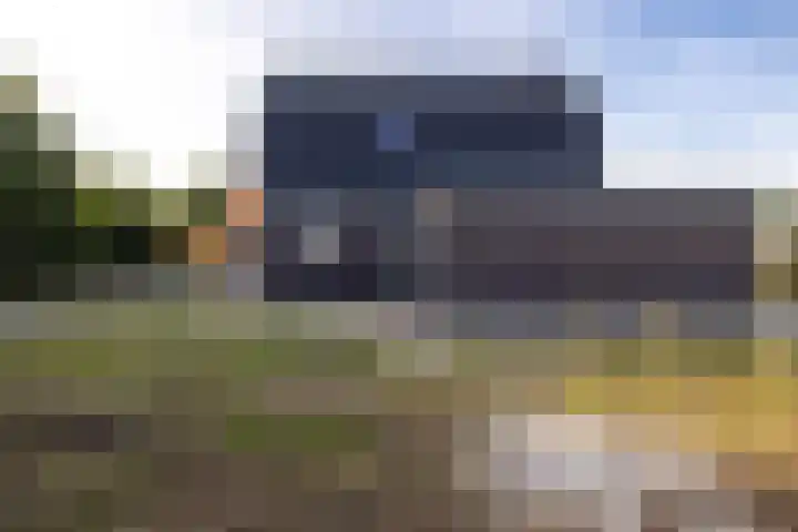 Houtskool 16 Wehl thumbnail 49