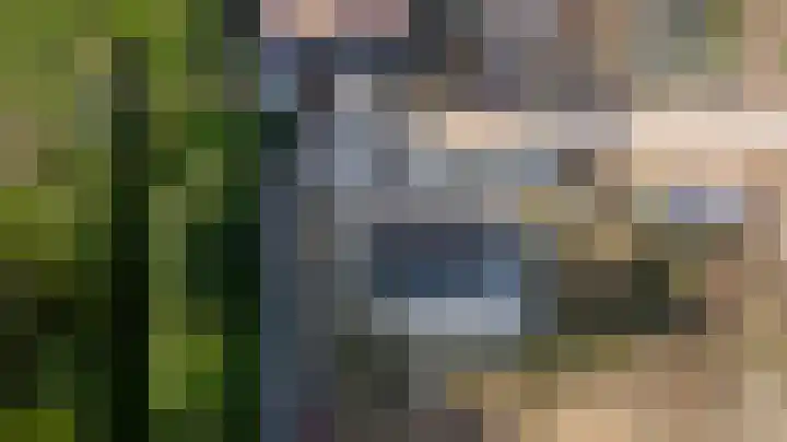 Houtskool 16 Wehl thumbnail 53