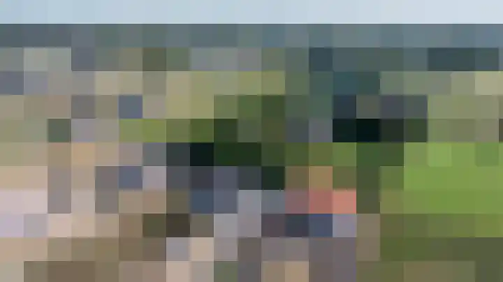 Houtskool 16 Wehl thumbnail 55