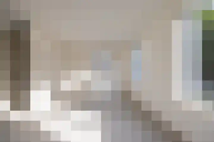 Houtskool 16 Wehl thumbnail 6