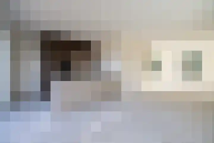 Houtskool 16 Wehl thumbnail 9