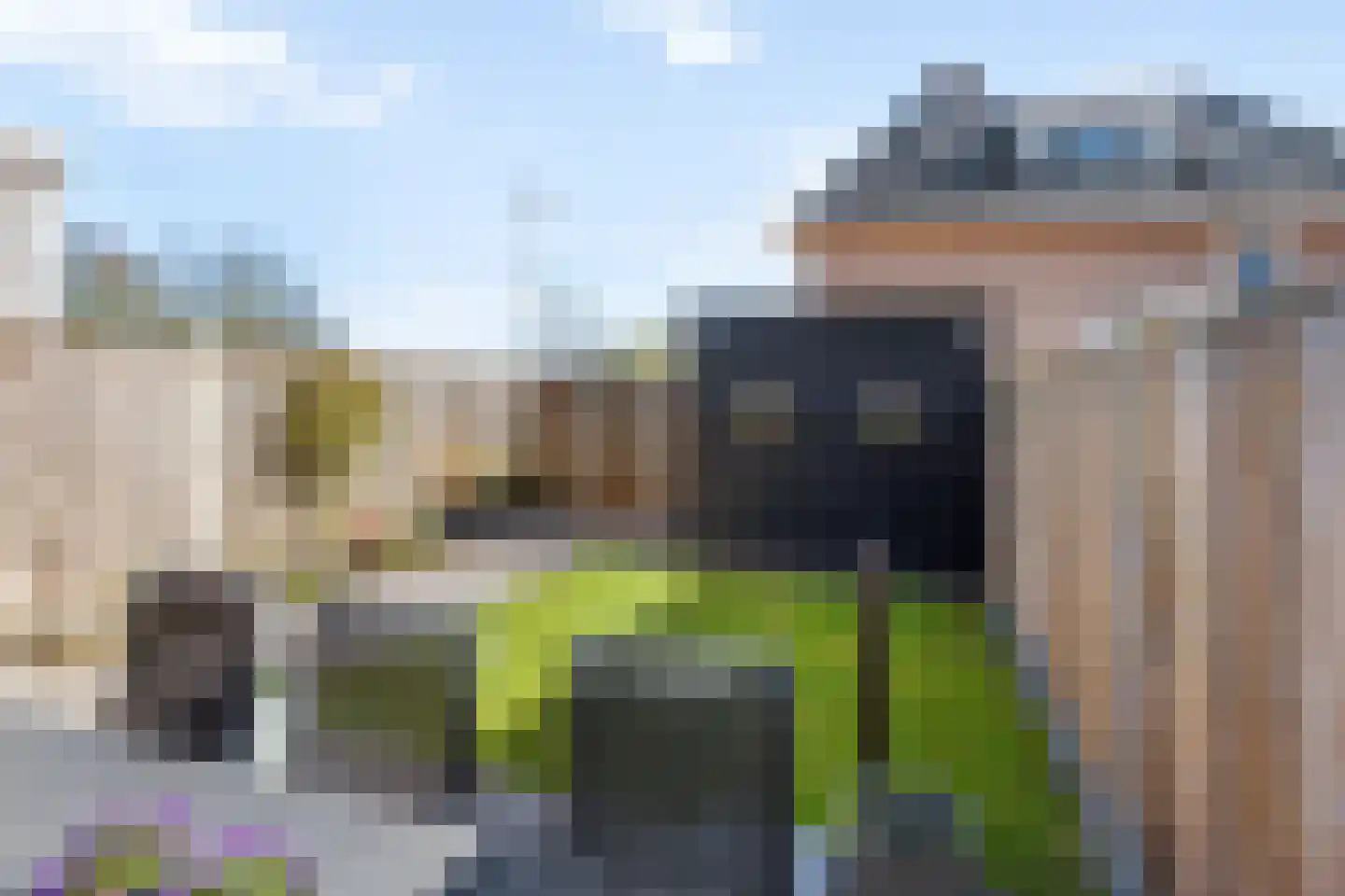 Houtskoolstraat 18 Heeten thumbnail 34