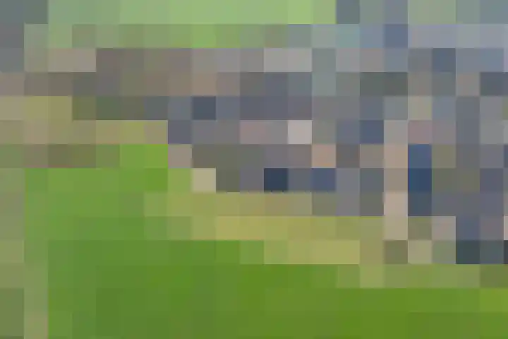 Houtskoolstraat 18 Heeten thumbnail 5
