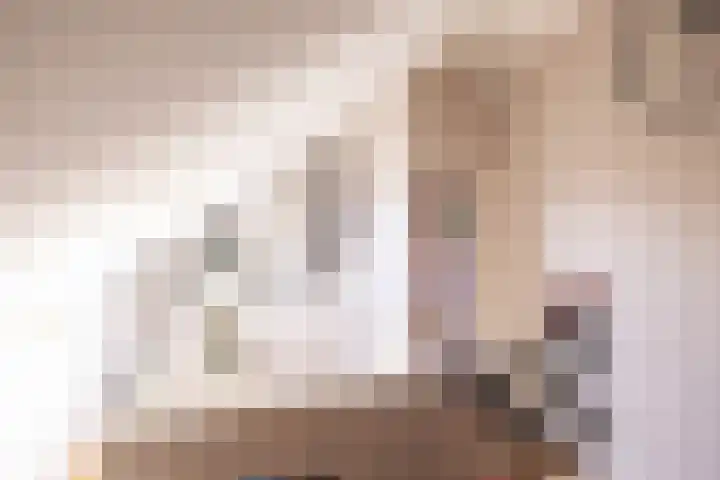 Houtskoolstraat 18 Heeten thumbnail 8