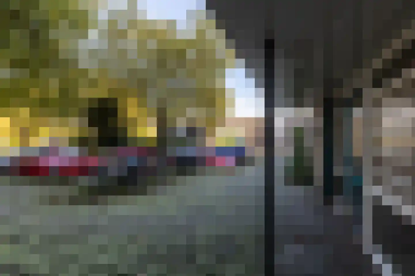 Houtsmastraat 104 Doetinchem thumbnail 38