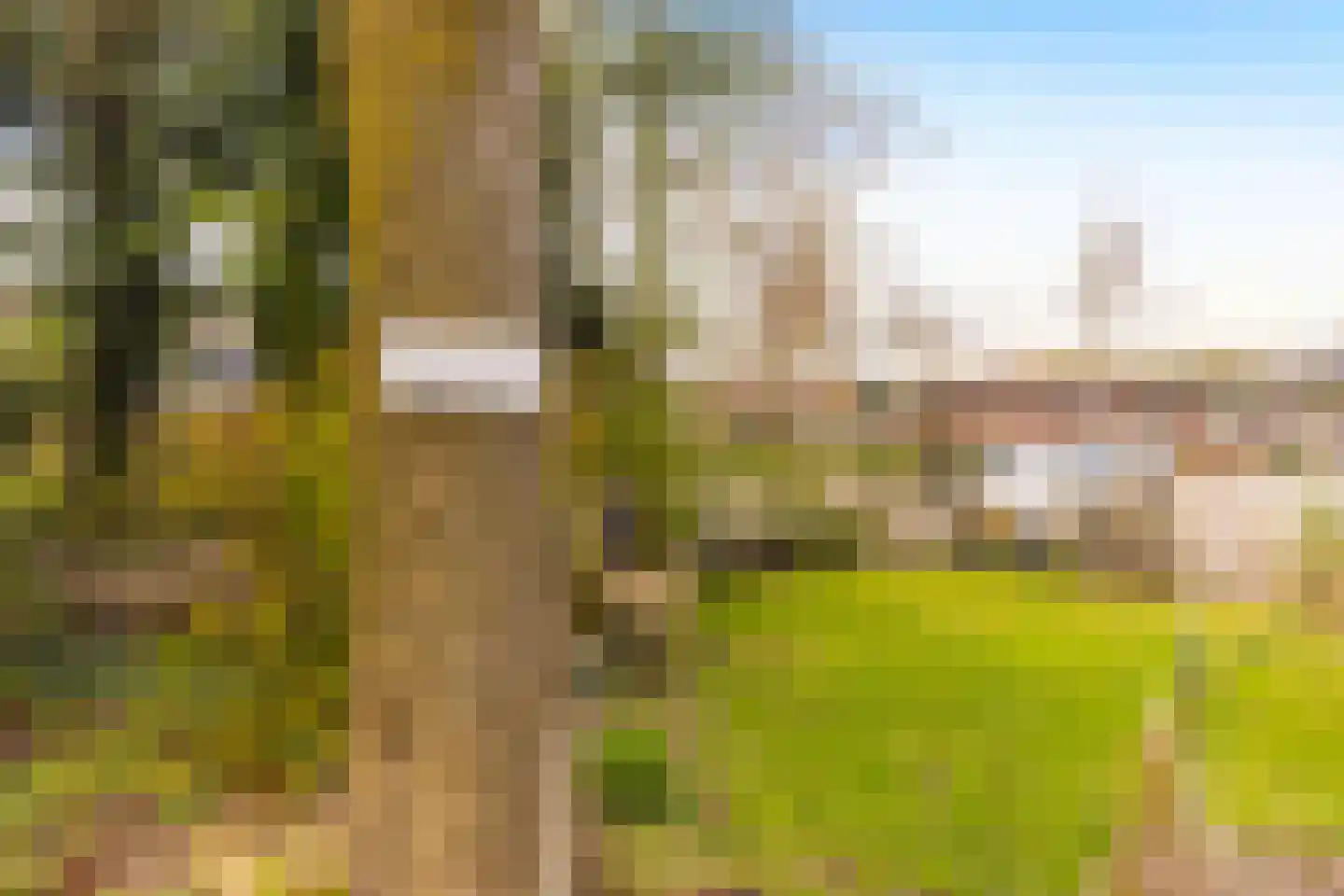 Houtsmastraat 25 Doetinchem thumbnail 25