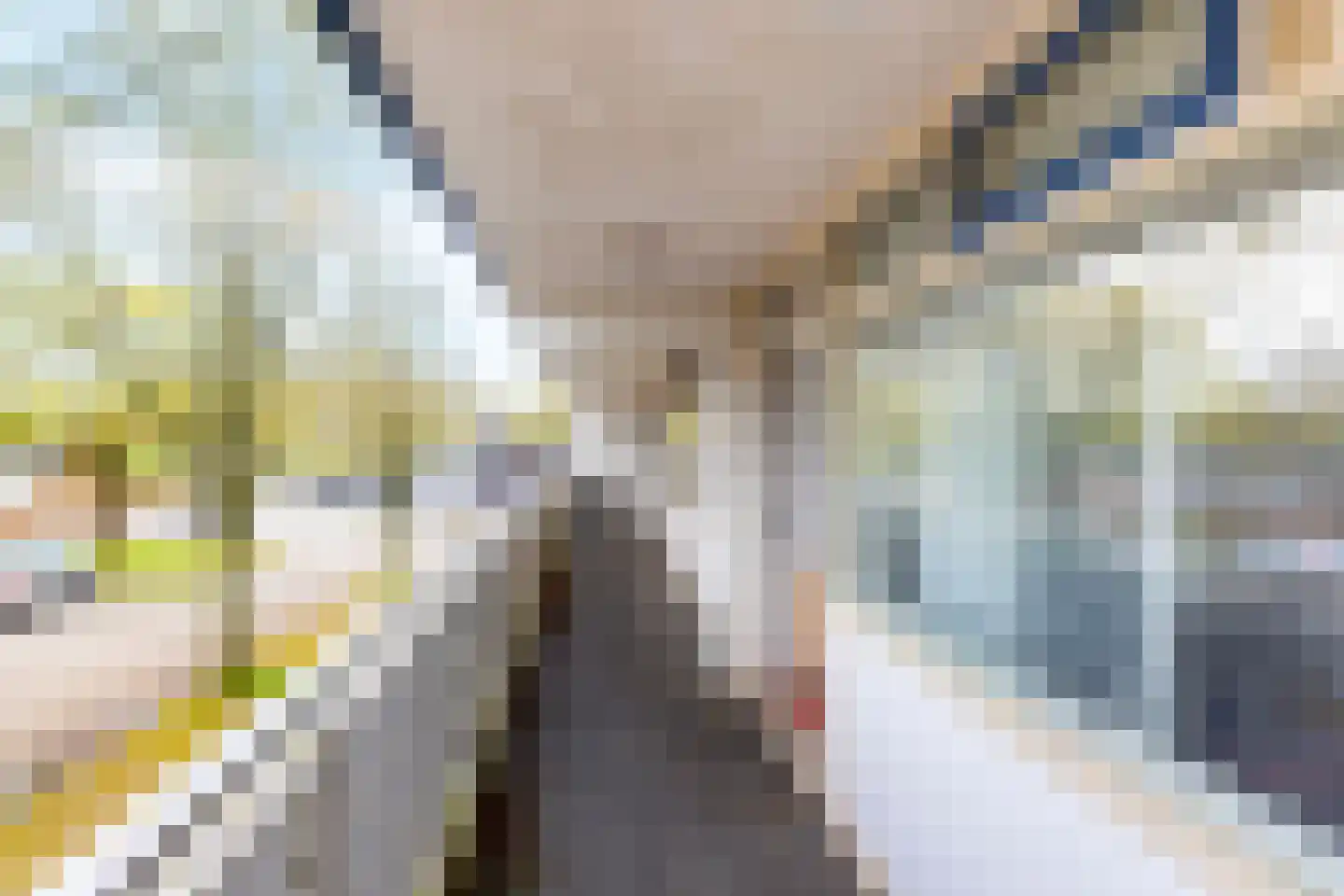 Houtsmastraat 25 Doetinchem thumbnail 6