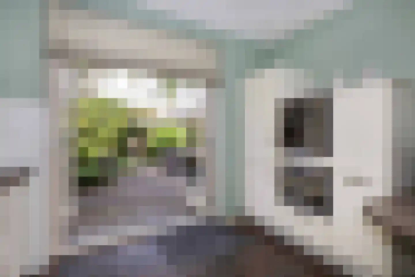 Houtsnijderpad 12 Hoogland thumbnail 15