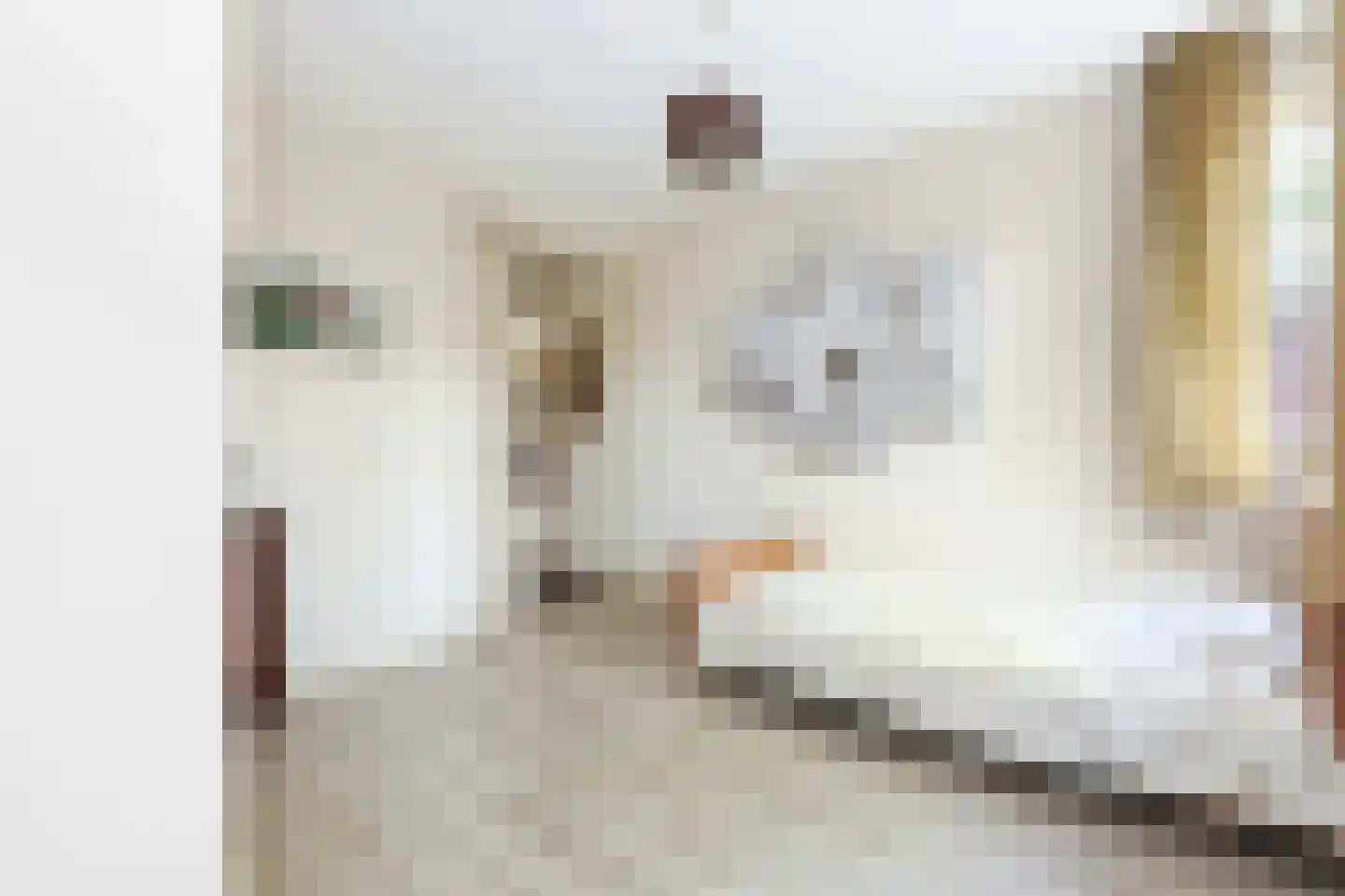 Houtsnijderpad 12 Hoogland thumbnail 17