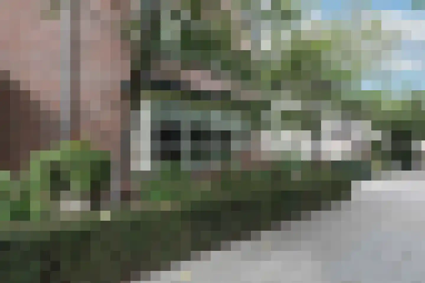 Houtsnijderpad 12 Hoogland thumbnail 34