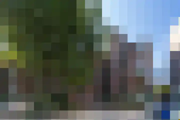 Houtsnijdershorst 117 Apeldoorn thumbnail 22