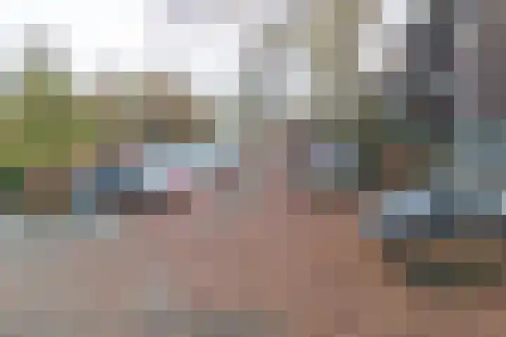 Houtsnijdershorst 120 Apeldoorn thumbnail 20