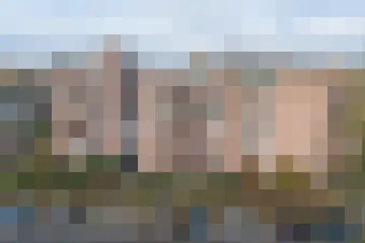 Houtsnijdershorst 120 Apeldoorn thumbnail 22