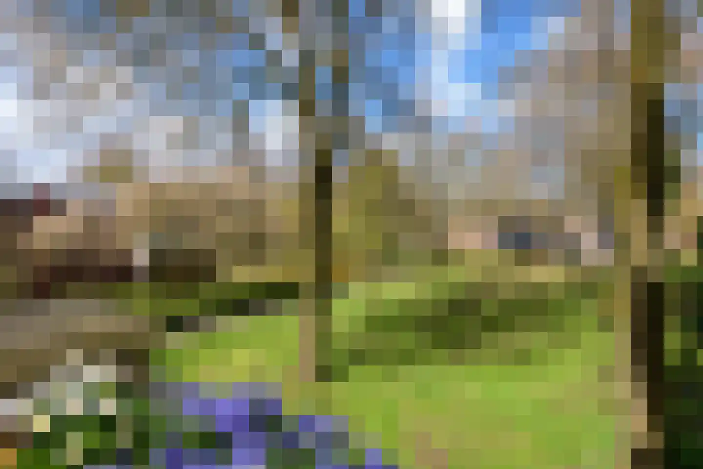 Houtsnijdershorst 141 Apeldoorn thumbnail 23